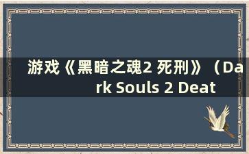 游戏《黑暗之魂2 死刑》（Dark Souls 2 Death Penalty）